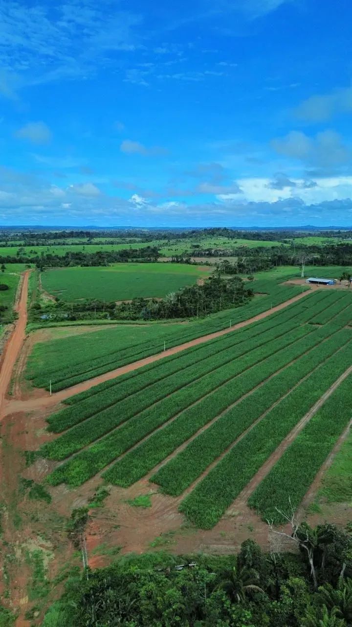 VENDO  FAZENDA EM NOVA MONTE VERDE/MT - Foto 3