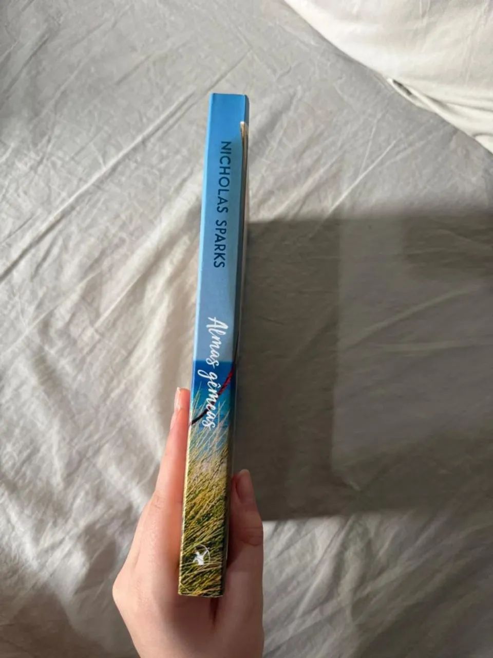 Almas gêmeas (Nicholas Sparks) - Foto 2