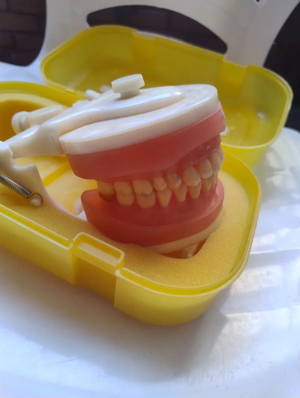 Manequim dentistica pronew  - Foto 2