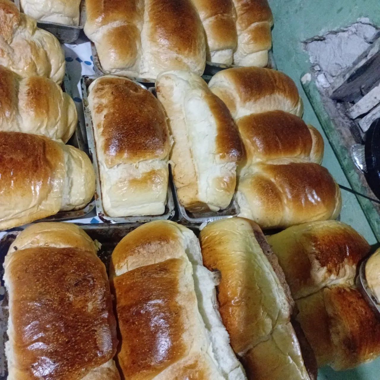  Pães