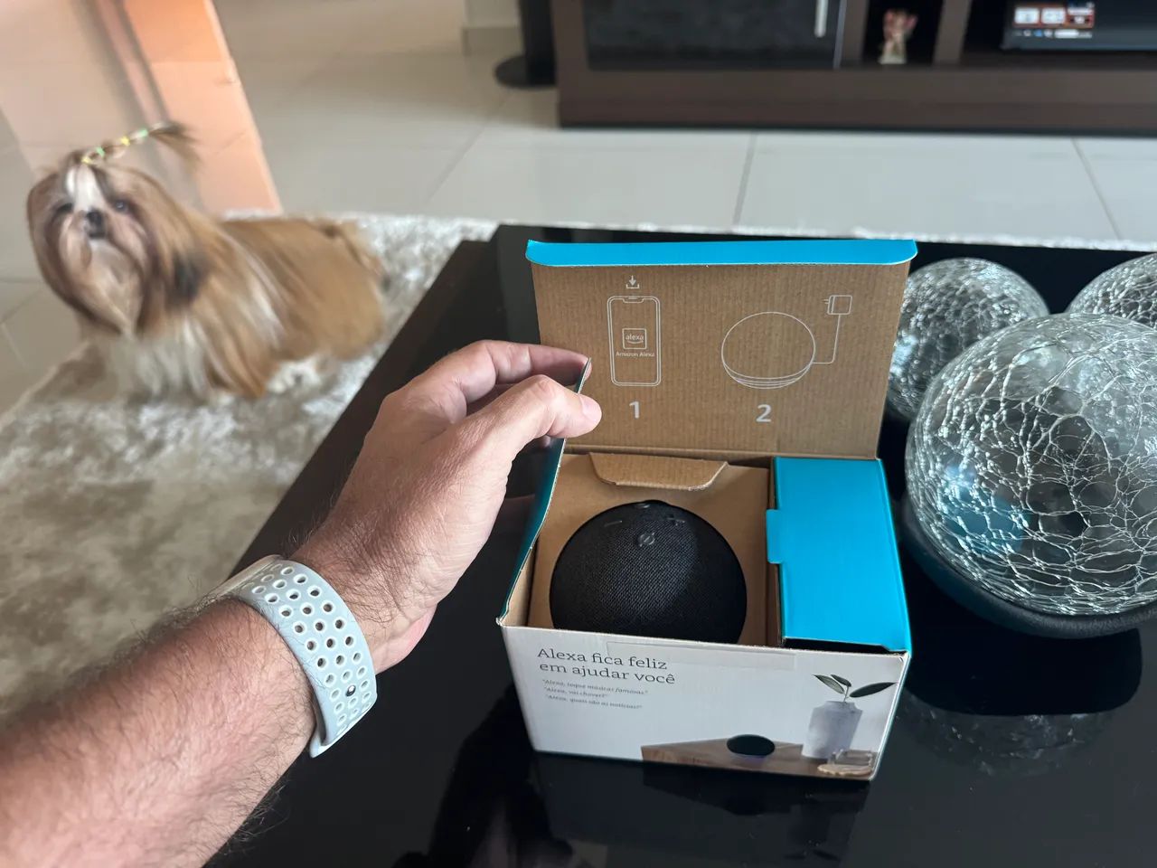 Amazon Echo Dot 5  - Foto 3