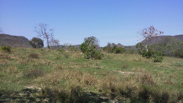 Fazenda 2.125 hectares - Munic. Aquidauana MS - Foto 11