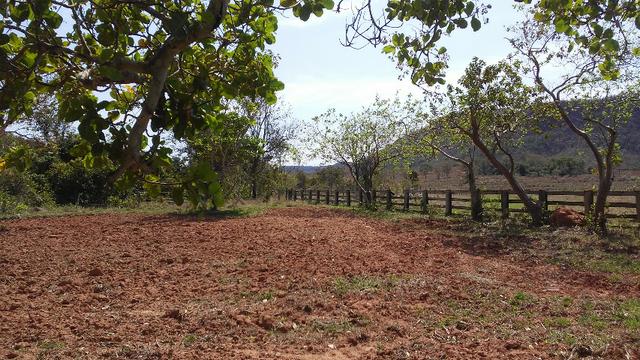 Fazenda 2.125 hectares - Munic. Aquidauana MS - Foto 4