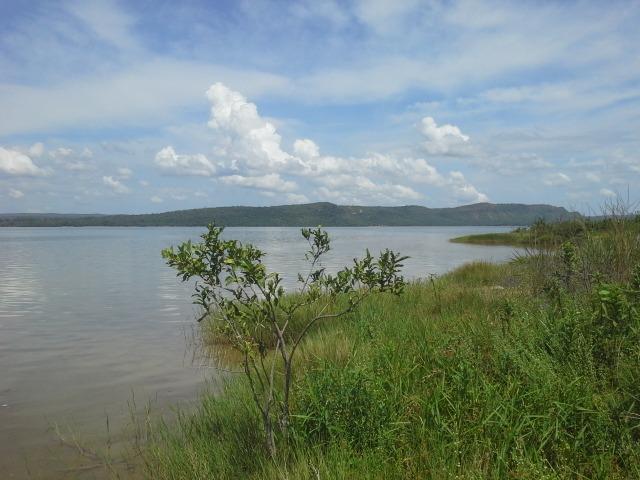 Excelente Área de 51 mil m² C/ 70 metros Beira Lago Km 29 Estrada Lajeado - Foto 3