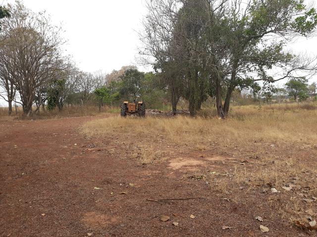 Aviário em Campo Verde/ 7 Hectares - Foto 11