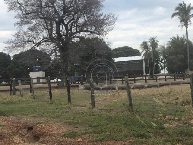 Fazenda 330 ha região chumbo poconé - Foto 14