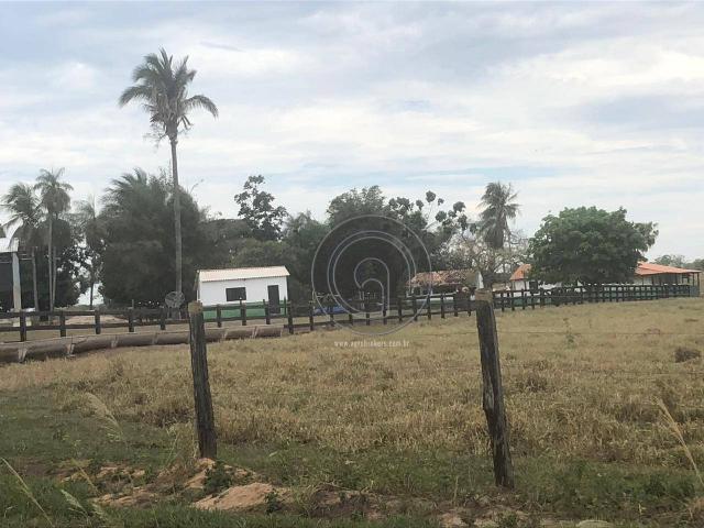 Fazenda 330 ha região chumbo poconé - Foto 18