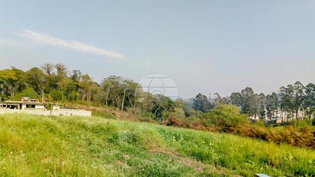 Casa à venda com 4 dormitórios em Centro, Colombo cod:153377 - Foto 15