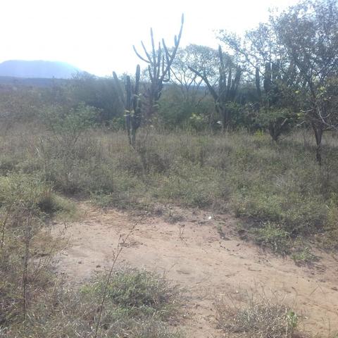 Fazenda em Itaberaba, 78 tarefas, 344 mil metros2 - Foto 13