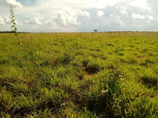 Fazenda em Rosário Oeste com 784 Hectares - Foto 8