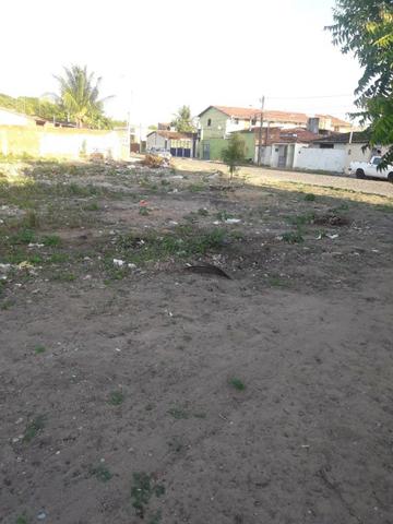 Alugo Terreno - Foto 5
