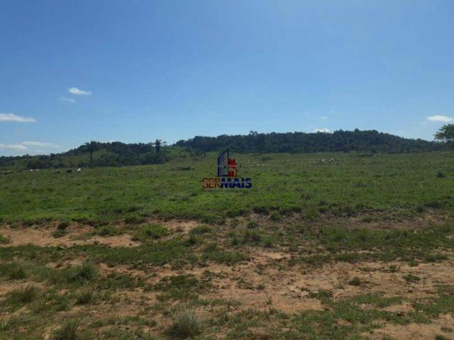 Fazenda à venda, por R$ 40.000.000 - Zona Rural - Rolim de Moura/RO - Foto 11