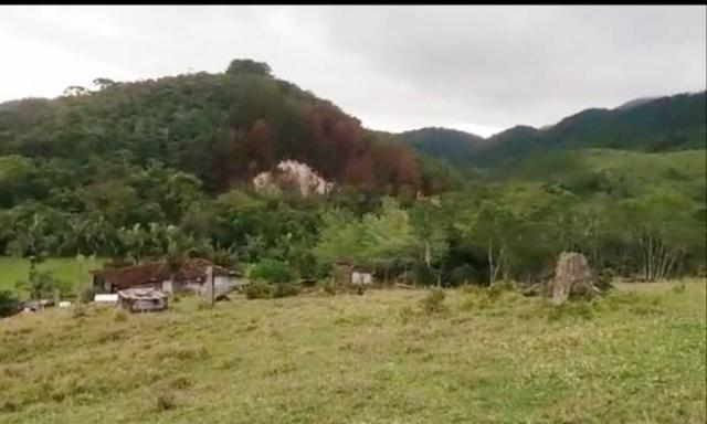 Chácara para venda em campina grande do sul, barra da cruz - Foto 8