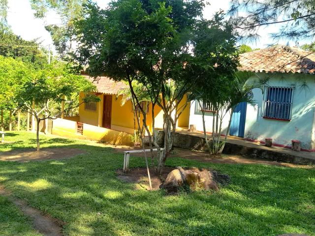 Fazenda Região de Coaraci - Foto 3