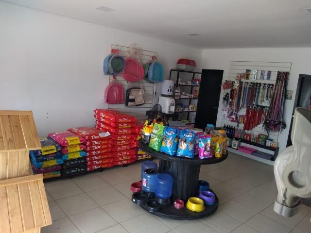 Vende-se este pet shop - Foto 5