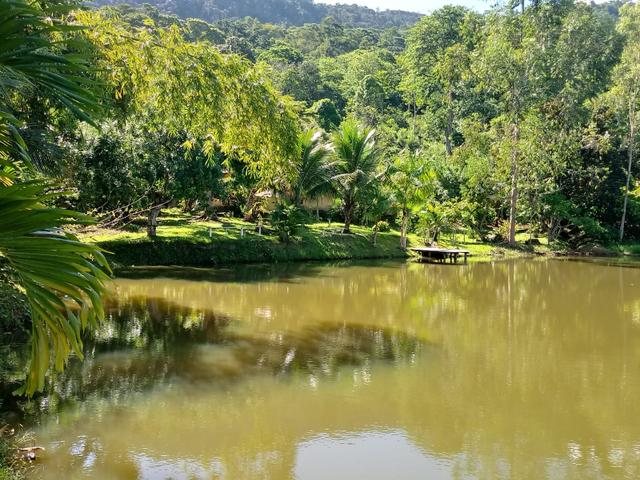 Fazenda Região de Coaraci - Foto 12