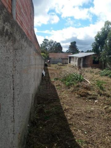 Terreno para venda em quatro barras, jardim das acácias, 2 dormitórios, 1 banheiro - Foto 11