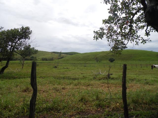 Fazenda 30 alqueires em Casimiro de Abreu-RJ - Foto 2