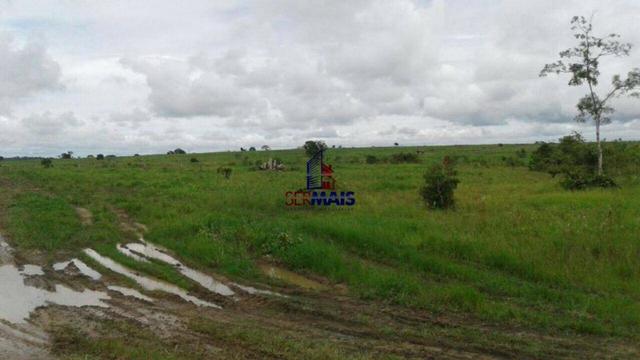 Fazenda à venda, por R$ 40.000.000 - Zona Rural - Rolim de Moura/RO - Foto 14