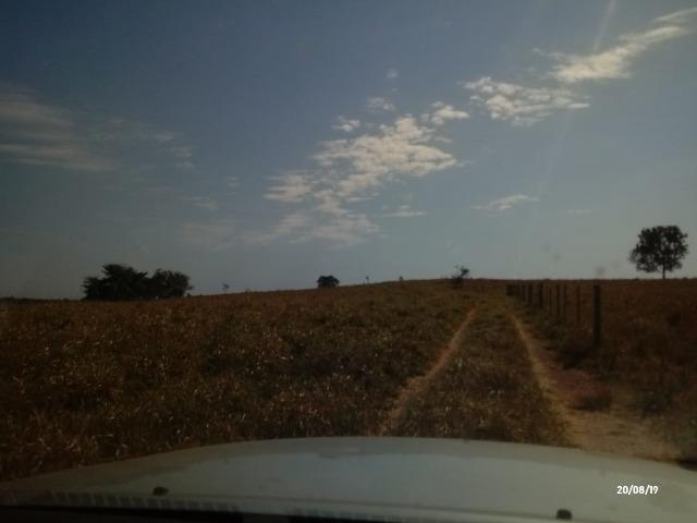 Fazenda abeira do asfalto na estrada da Guia MT 010 apos a entrada de Acorizal - Foto 4