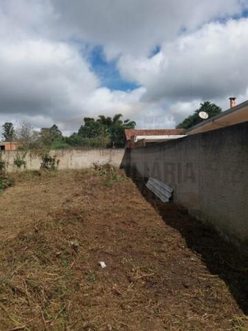 Terreno para venda em quatro barras, jardim das acácias, 2 dormitórios, 1 banheiro - Foto 10
