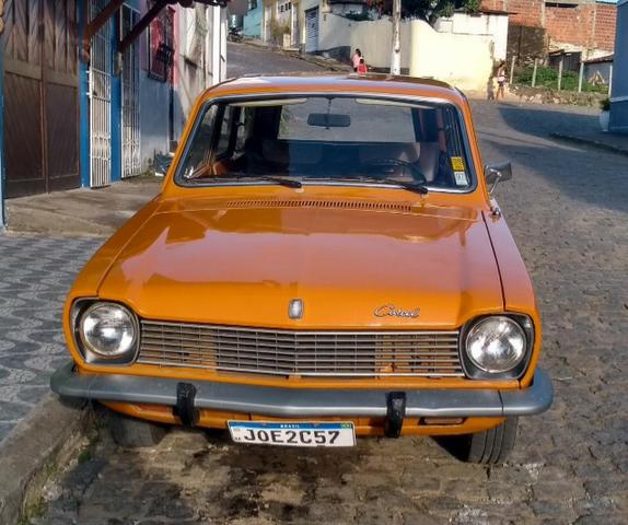 Belina - Foto 3