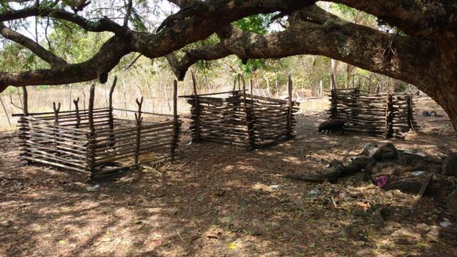 Fazenda em José de Freitas-PI - Foto 5