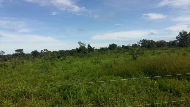2 Sítios juntos 9 Hectares Cada 90km Cuiabá - Foto 4