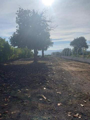 Lotes de Chácara Viturino - Foto 4