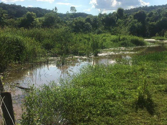 Fazenda Cesarina - Foto 4