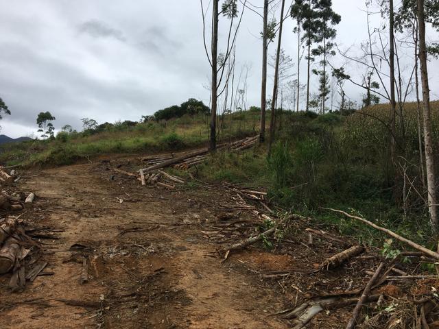 Terreno/Cachoeira - Foto 19