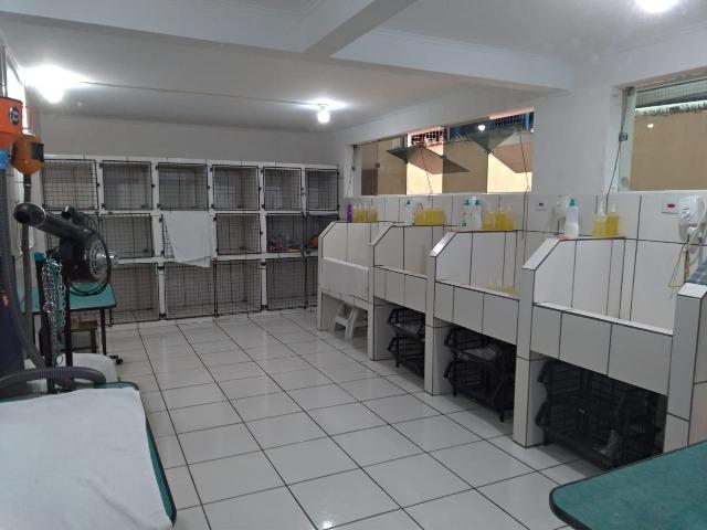 Pet Shop-Vila Guilherme - Foto 3