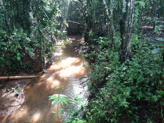 Chácara em Gameleira de Goiás - Foto 11