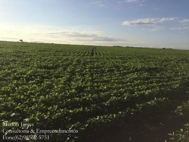 Fazenda em Mundo Novo! - Foto 4