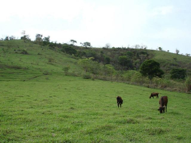 Fazenda