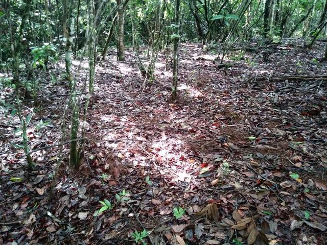 Chácara em Gameleira de Goiás - Foto 12