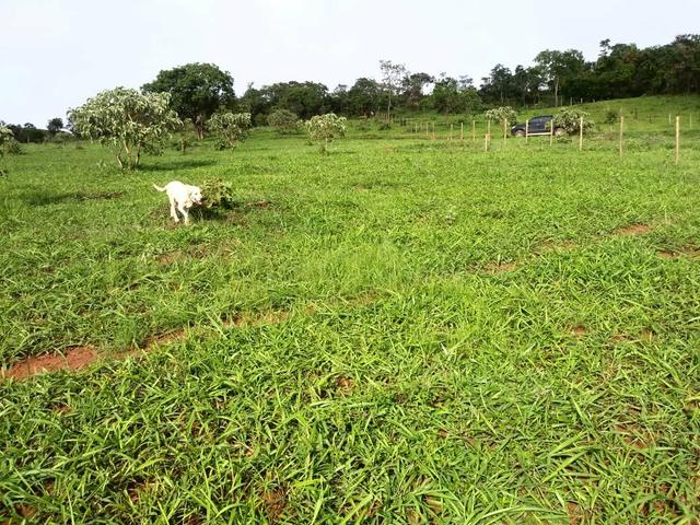 Chácara em Gameleira de Goiás - Foto 8