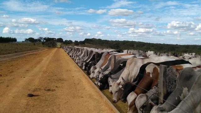 Fazenda em Mineiros - GO