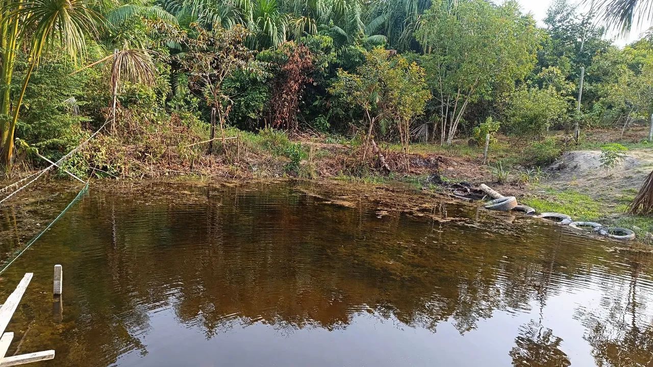 foto - Manaus - Gilberto Mestrinho