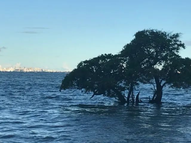 Alugo Village Temporada - Foto 9