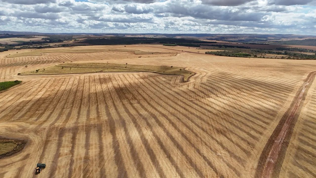 Fazenda de 250  Alqueries    - Foto 5