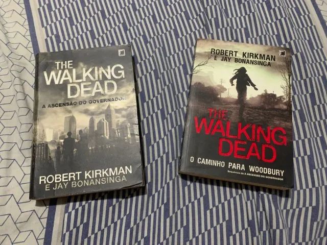 Lote de Livros Usados - Jogos Vorazes, The Walking Dead, Guerra Civil, Com Amor Simon... - Foto 4