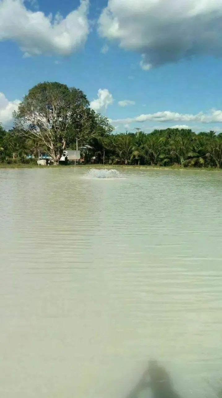 VENDA SITIO EM RIO PRETO DA EVA - Foto 5