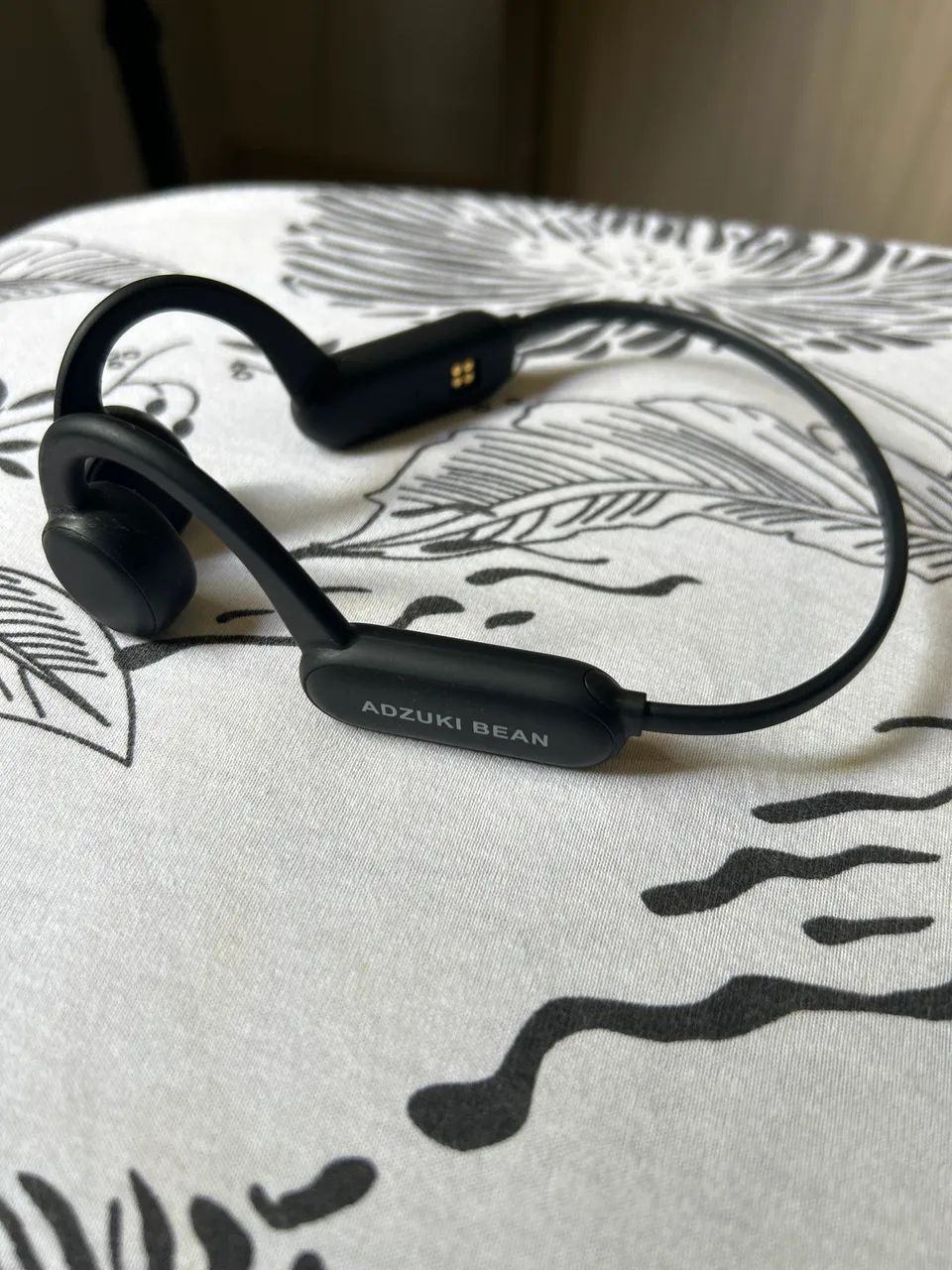 Bone Conduction Headphones (Adzuki Bean)64352268366594120