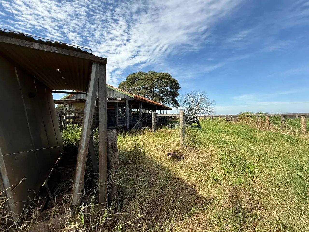 CÓD. 466  ARRENDAMENTO  FAZENDA EM CAMAPUÃ/MS (SENTIDO PARAÍSO DAS ÁGUAS) - Foto 2