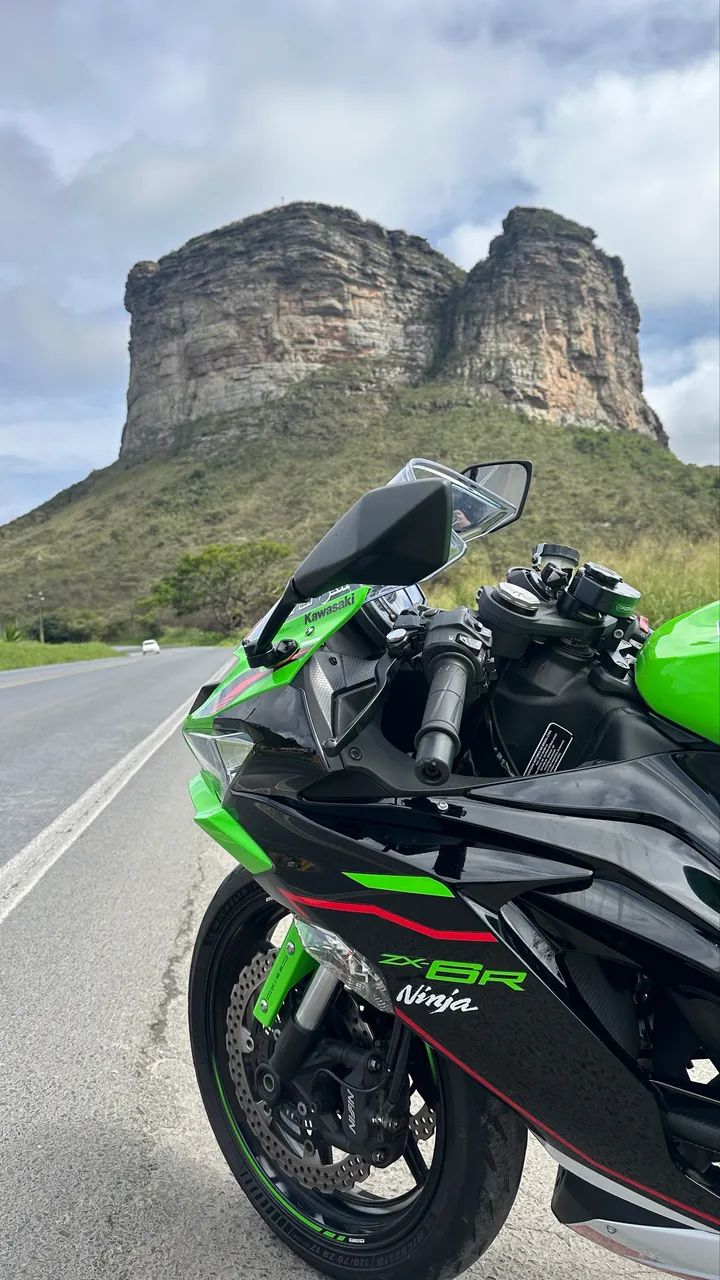 【saachan】 TENIS FUROS LATERAIS - TAN - Mr Cat - Mobile