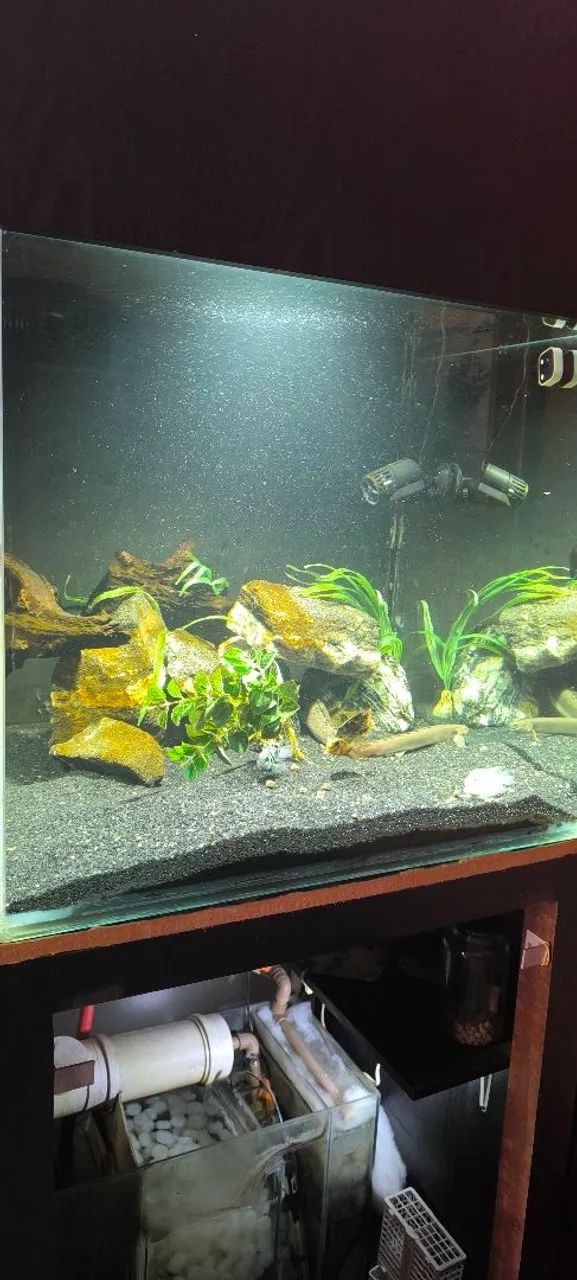Aquário completo. 