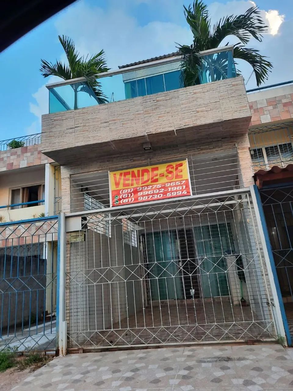 Foto - Paulista - Pau Amarelo