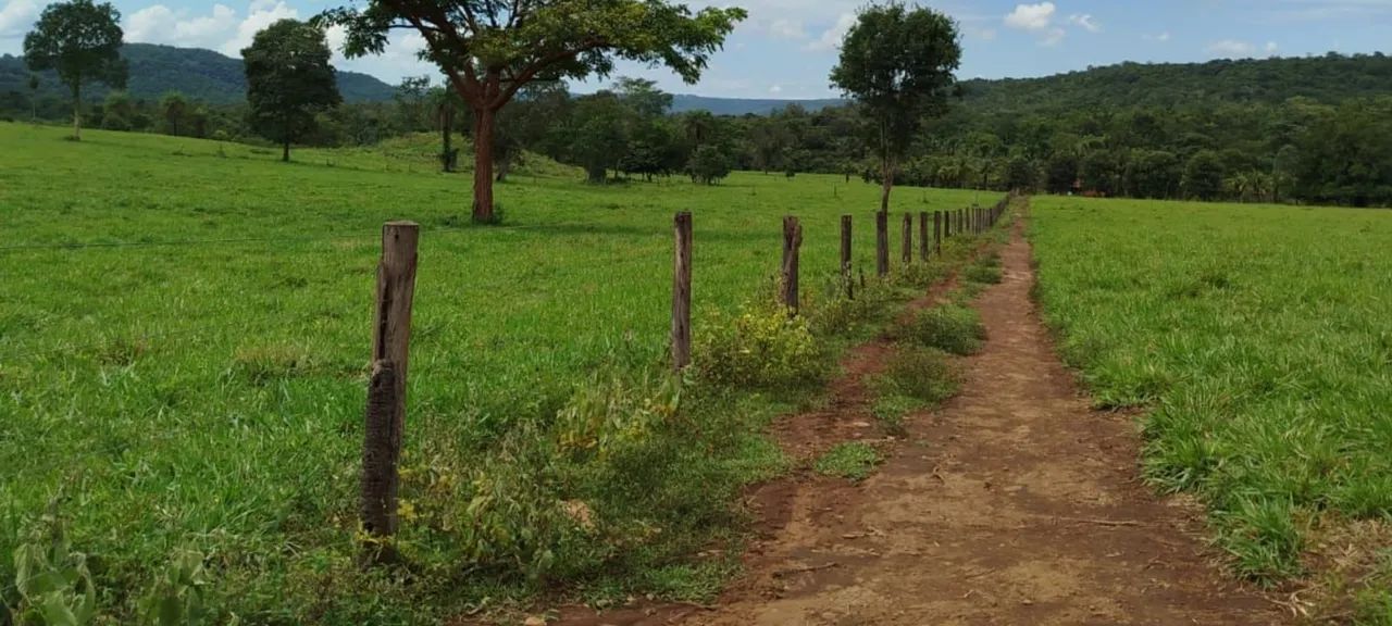 Fazenda entre Palmas to e Barrolândia to - Foto 8