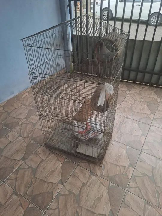 Gaiola de chinchila - Foto 3